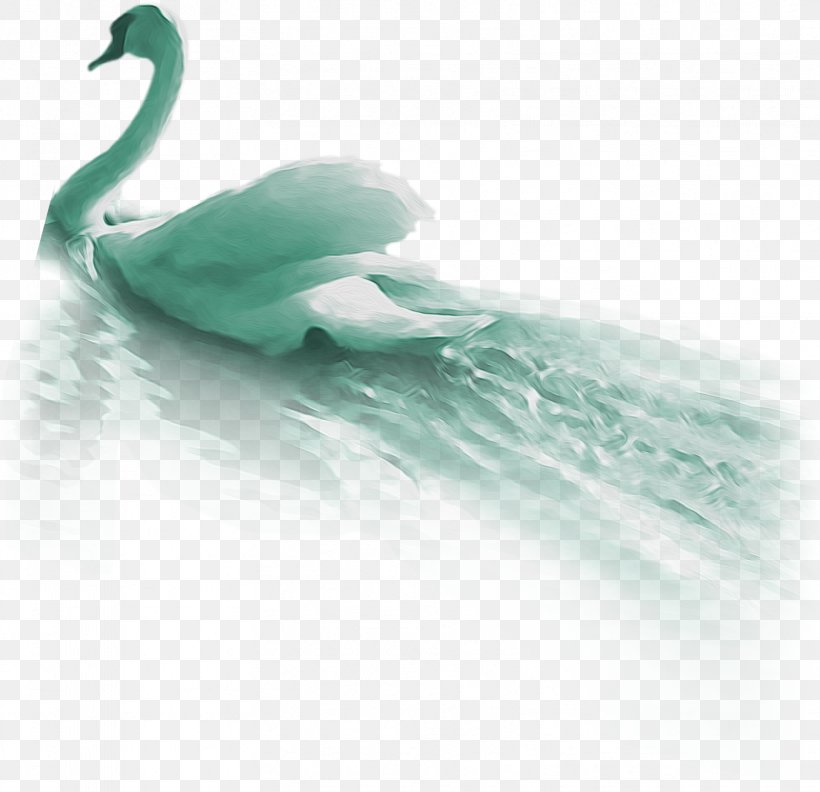 Duck Green Feather Beak Wallpaper, PNG, 1669x1614px, Duck, Aqua, Beak, Bird, Computer Download Free