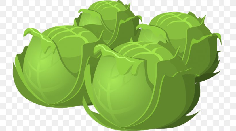 Red Cabbage Brussels Sprout Vegetable Clip Art, PNG, 730x457px, Cabbage, Brassica Oleracea, Brussels Sprout, Cartoon, Food Download Free
