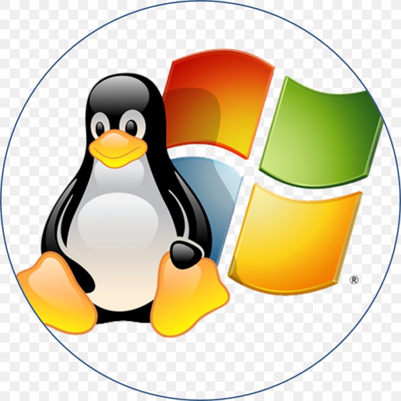 Samba Linux Debian Installation, PNG, 1066x1066px, Samba, Active Directory, Beak, Bird, Computer Servers Download Free