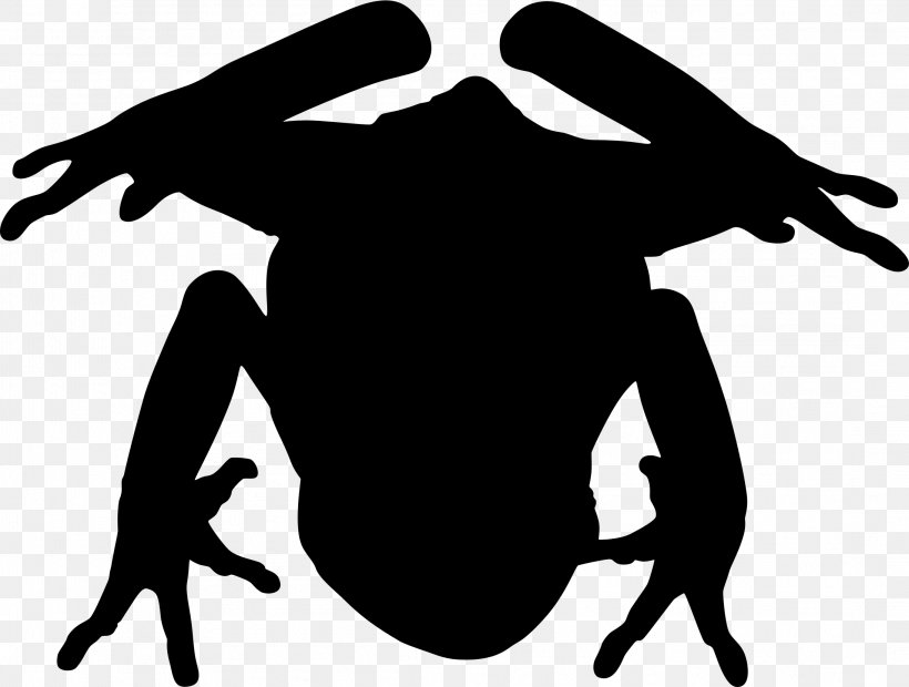 Clip Art Character Silhouette Fiction Black M, PNG, 2189x1656px, Character, Amphibian, Black M, Fiction, Frog Download Free