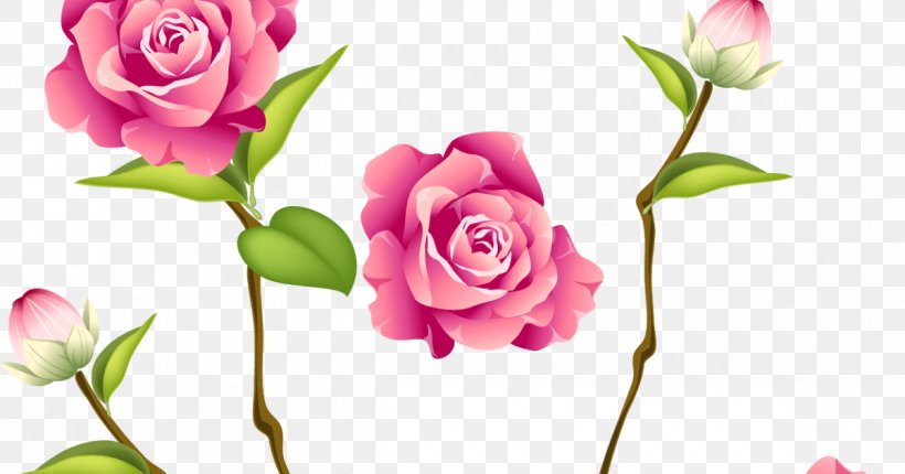 Rose Clip Art Flower Pink Floral Design, PNG, 1200x630px, Rose, Blossom, Borders And Frames, Bud, Cut Flowers Download Free