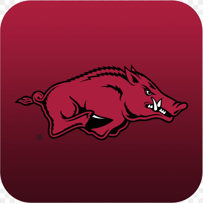 Arkansas Razorbacks Football Bud Walton Arena Feral Pig Southeastern Conference College Football Hall Of Fame, PNG, 1024x1024px, Arkansas Razorbacks Football, American Football, Arkansas, Arkansas Razorbacks, Art Download Free