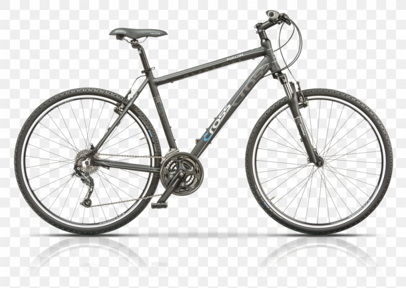 Bicycle Shop Freewheeler Bike Shop Wyckoff Cycle Llc Hybrid Bicycle, PNG, 1024x729px, Bicycle, Bicycle Accessory, Bicycle Derailleurs, Bicycle Drivetrain Part, Bicycle Frame Download Free