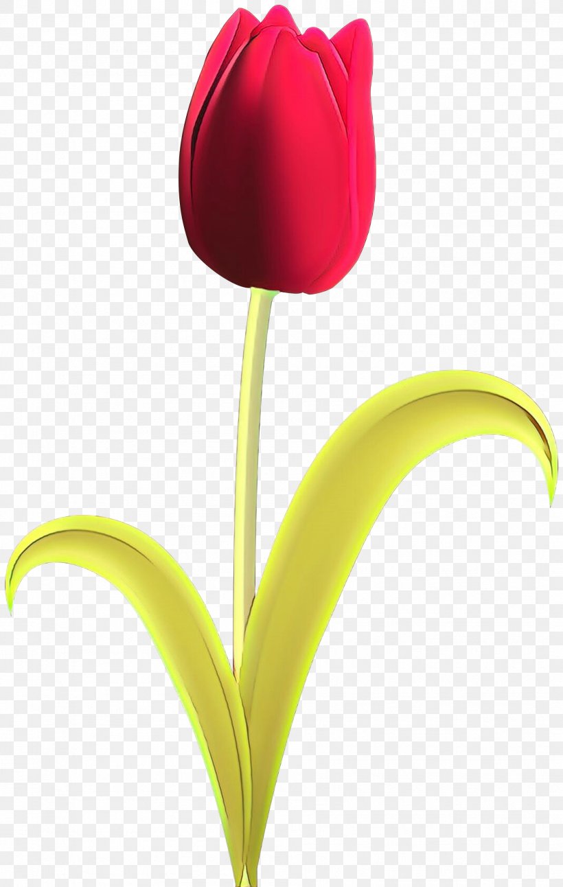 Flower Tulip Petal Plant Yellow, PNG, 1903x3000px, Cartoon, Closeup, Flower, Flowering Plant, Petal Download Free