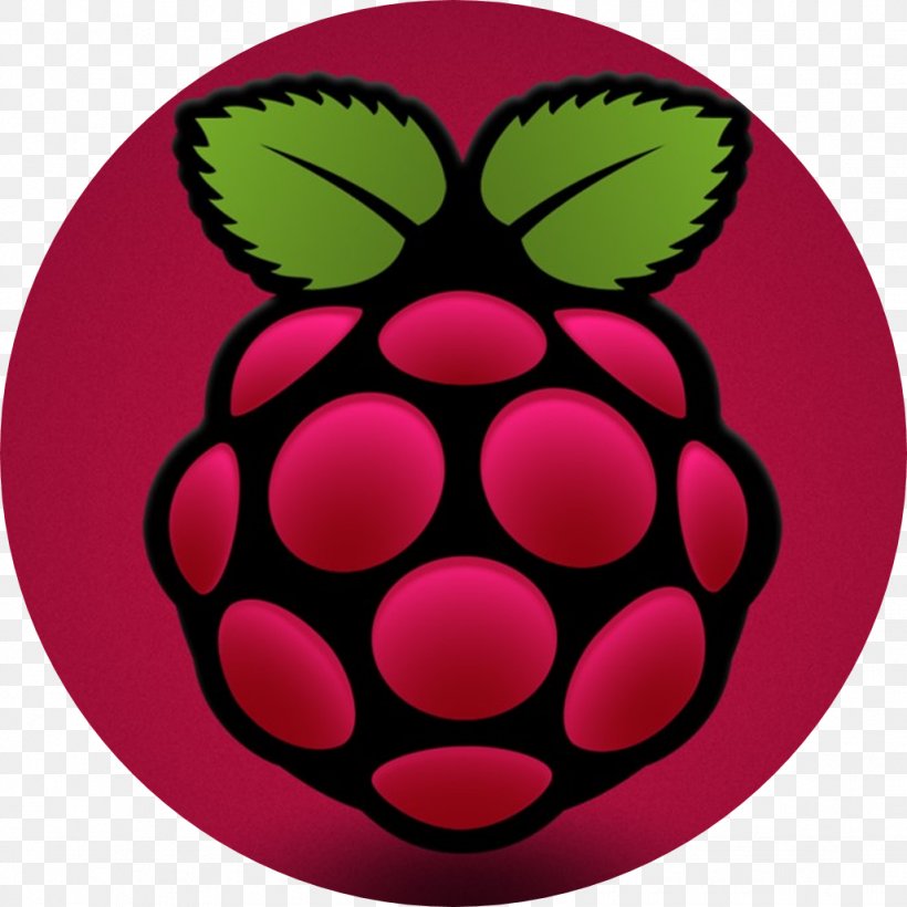 Raspberry Pi Projects Arduino Raspbian Liquid-crystal Display, PNG, 1027x1027px, Raspberry Pi, Arduino, Booting, Computer, Dishware Download Free