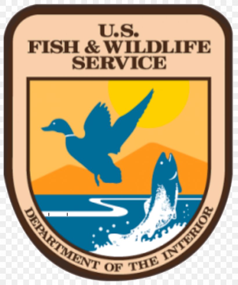 United States Fish And Wildlife Service Federal Government Of The United States Wildlife Conservation, PNG, 900x1075px, United States, Beak, Brand, Conservation, Emblem Download Free