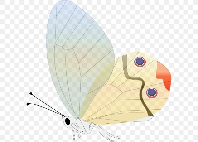 Butterfly Insect Clip Art, PNG, 600x588px, Butterfly, Butterflies And Moths, Drawing, Glasswing Butterfly, Insect Download Free
