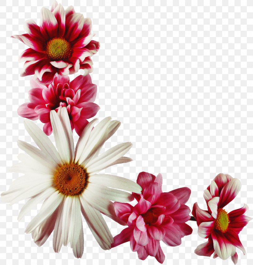 Flowers Background, PNG, 1145x1200px, Tatiana Day, Artificial Flower, Birthday, Cut Flowers, Daisy Download Free