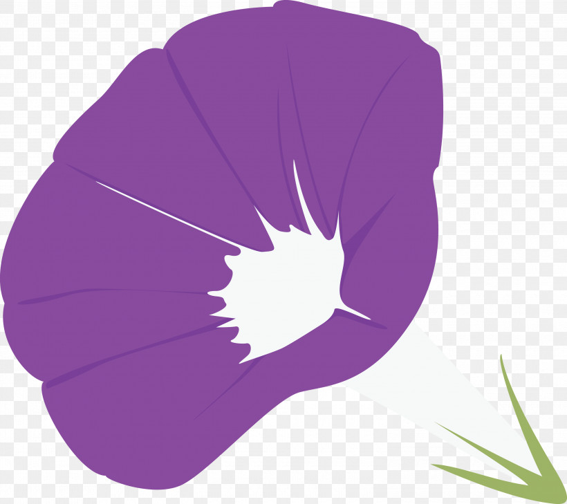 Morning Glory Flower, PNG, 3000x2669px, Morning Glory Flower, Flower, Lavender, Leaf, Morning Glory Download Free