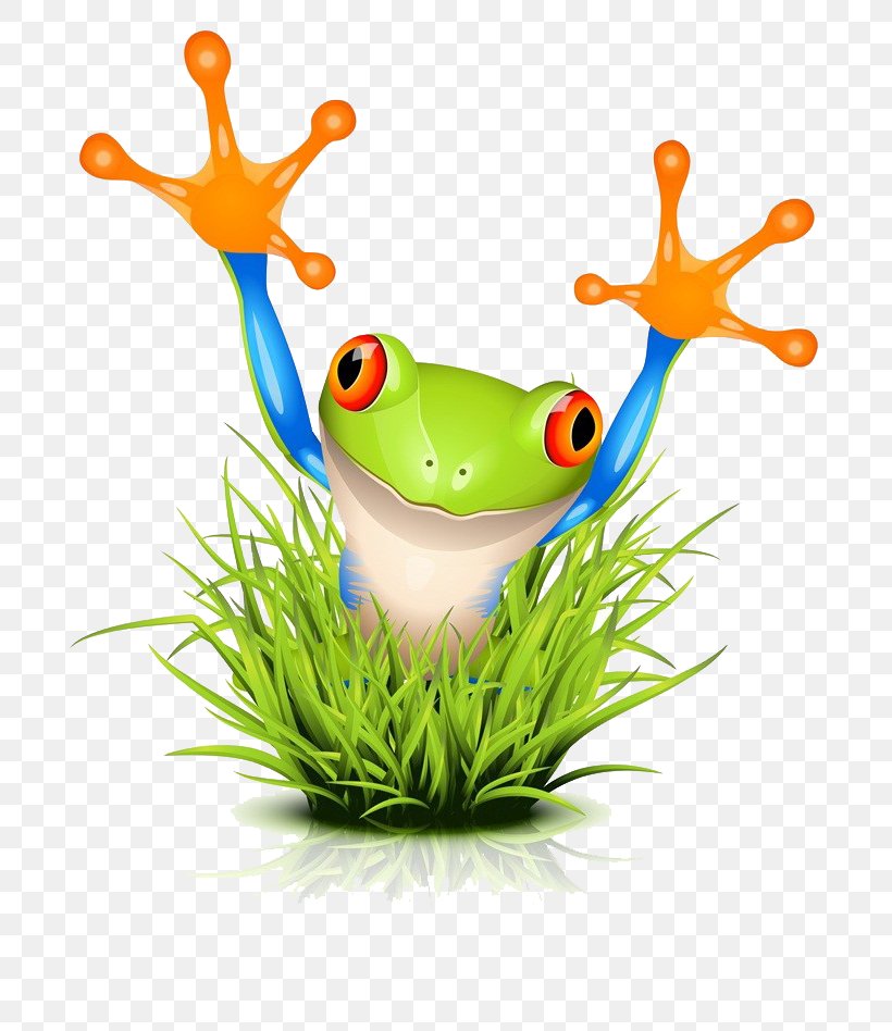 Tree Frog Royalty-free Clip Art, PNG, 737x948px, Frog, Amphibian, Cuban Tree Frog, Fotosearch, Grass Download Free