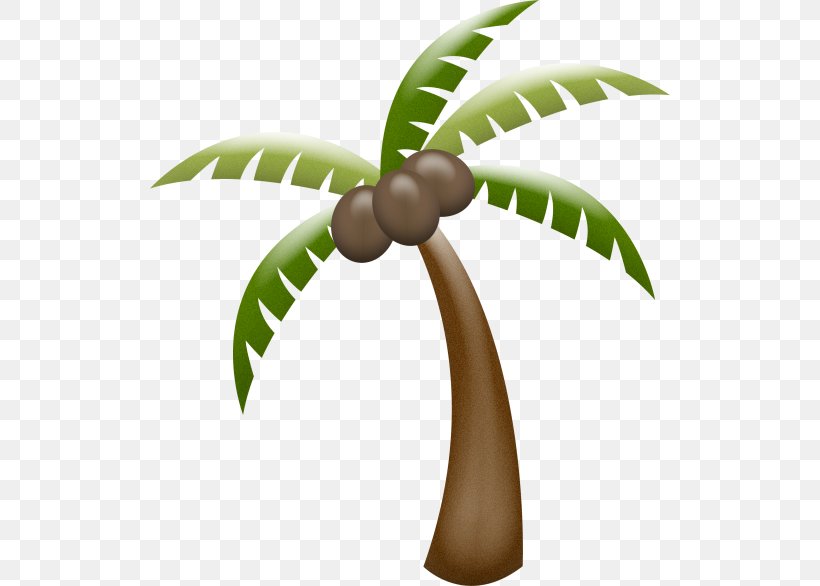 Arecaceae Clip Art, PNG, 520x586px, Arecaceae, Arecales, Coconut, Flowering Plant, Flowerpot Download Free