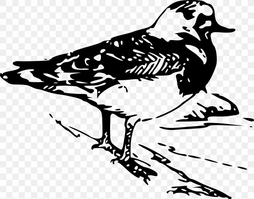 Bird Clip Art Tanagers Vector Graphics, PNG, 1920x1504px, Bird, Animal, Art, Beak, Blackandwhite Download Free