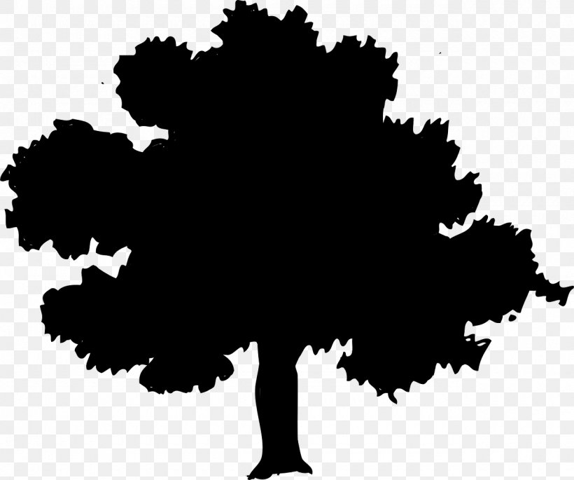 Northern Red Oak Tree Clip Art, PNG, 1280x1070px, Northern Red Oak, Acorn, Black, Black And White, Branch Download Free
