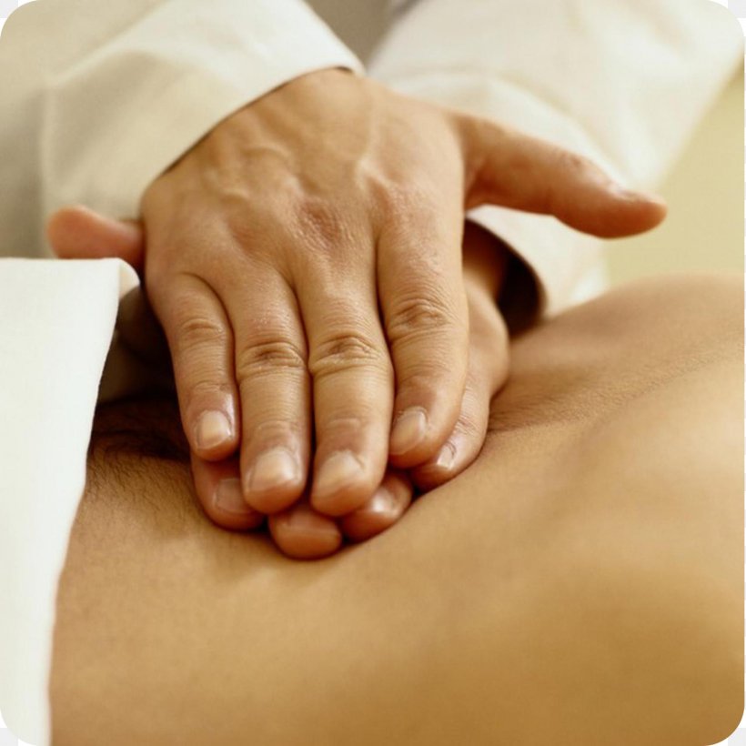 Tui Na Massage Bodywork Therapy Meridian, PNG, 1500x1500px, Tui Na, Acupressure, Acupuncture, Alternative Medicine, Bodywork Download Free