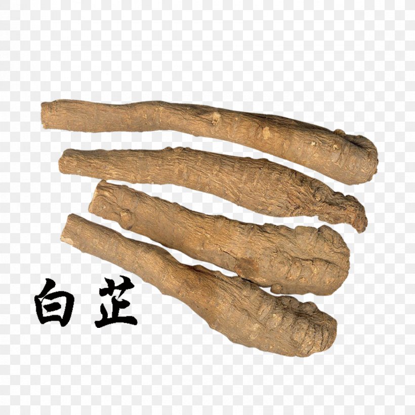Angelica Dahurica Chinese Herbology Herbaceous Plant Traditional Chinese Medicine, PNG, 1181x1181px, Female Ginseng, Angelica Dahurica, Bread, Chinese Herbology, Food Download Free