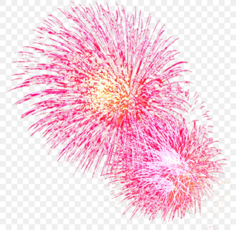 Fireworks Red Pyrotechnics, PNG, 800x800px, Fireworks, Animation, Fire, Flower, Flowering Plant Download Free