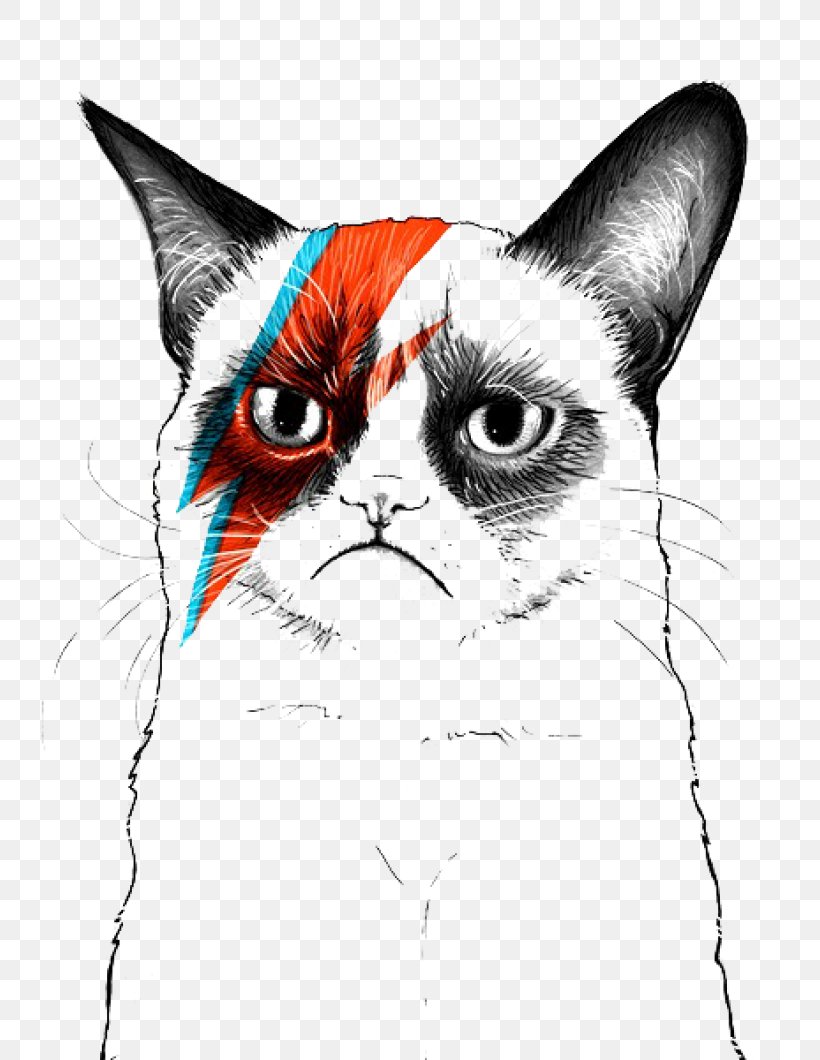 Grumpy Cat Musician Artist, PNG, 800x1060px, Watercolor, Cartoon, Flower, Frame, Heart Download Free