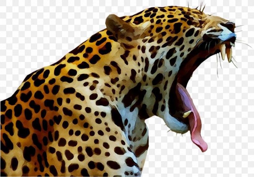Jaguar Cheetah Leopard Cat Felidae, PNG, 1160x808px, Jaguar, Adaptation, African Leopard, Animal, Animal Figure Download Free