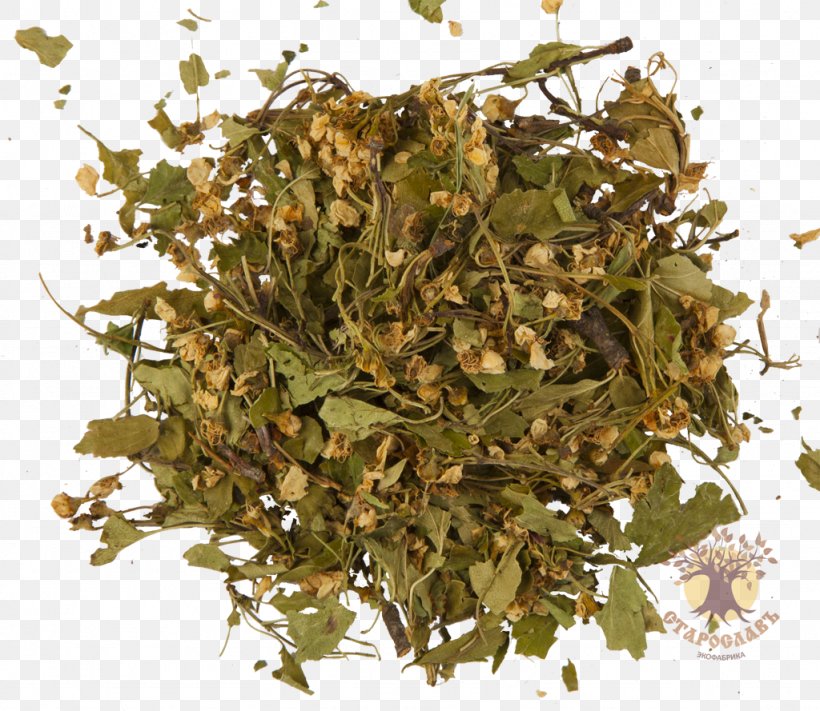 Masala Chai Tea Herb Oolong Hōjicha, PNG, 1024x889px, Masala Chai, Black Tea, Flower, Green Tea, Hawthorn Download Free