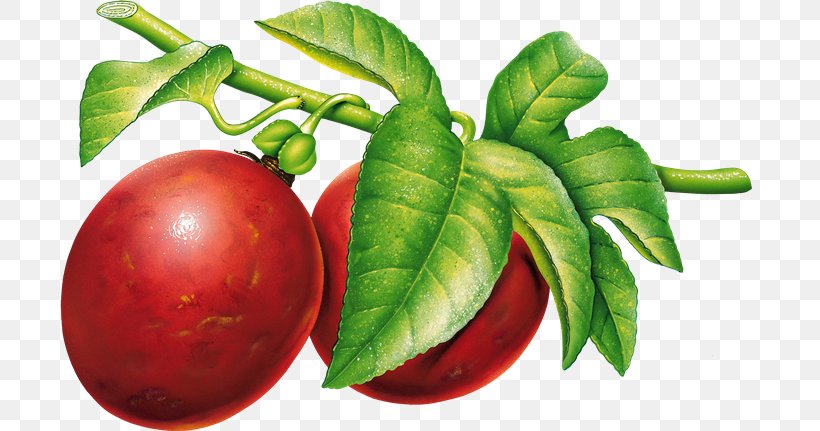 Plum Clip Art, PNG, 700x431px, Plum, Beet, Bush Tomato, Diet Food, Food Download Free