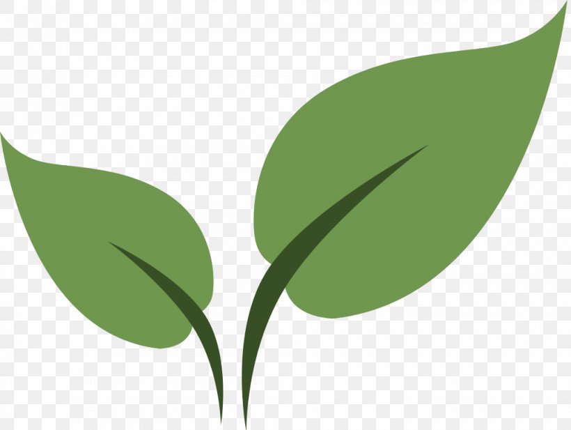 Seed Leaves Paleo F(x)â„¢ / Health F(x)â„¢ HQ Xeriscaping Landscaping CodePen PNG