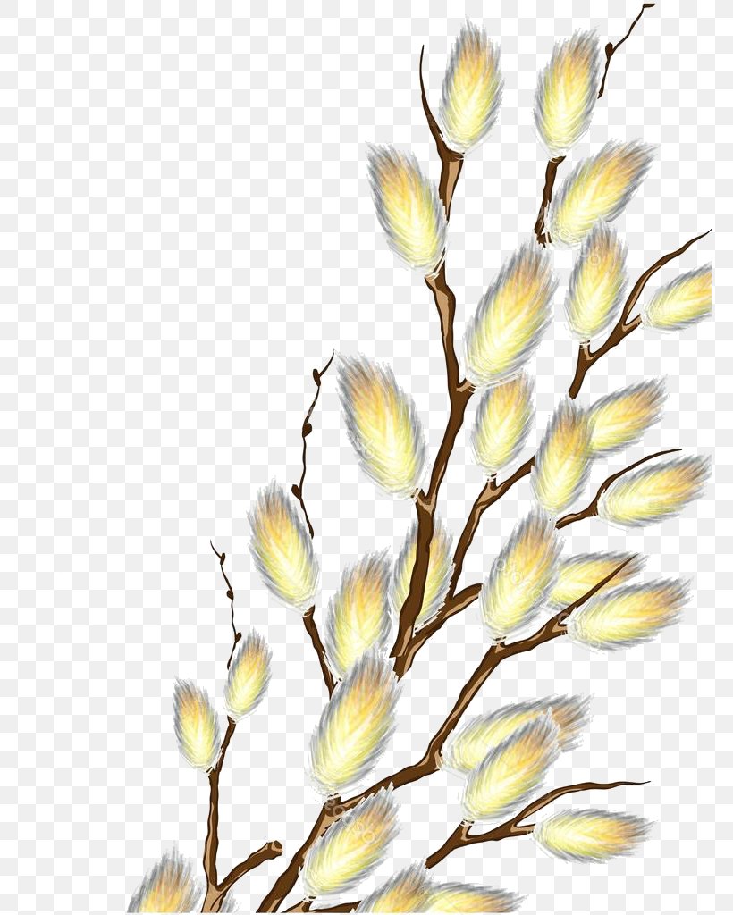 Cut Flowers Floral Design Branch Bud, PNG, 772x1024px, Watercolor, Cartoon, Flower, Frame, Heart Download Free