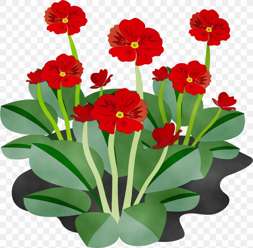 Flower Flowering Plant Plant Petal Clip Art, PNG, 2351x2309px, Watercolor, Flower, Flowering Plant, Herbaceous Plant, Houseplant Download Free