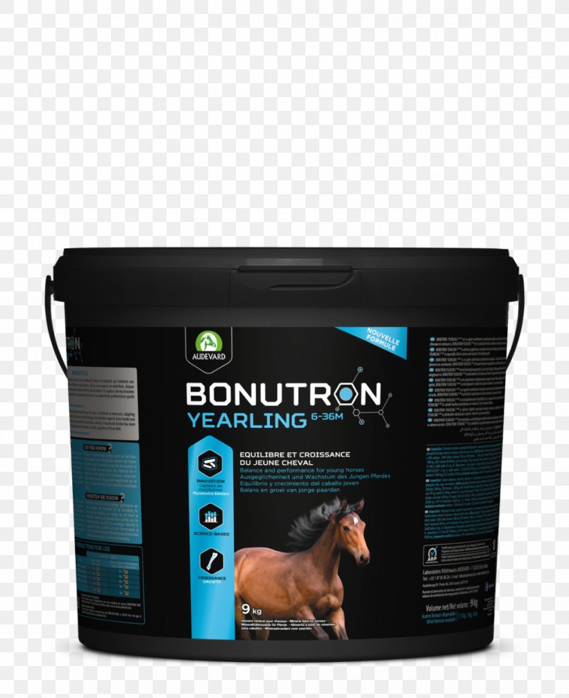 Sport Horse Dietary Supplement Stallion Pony, PNG, 978x1200px, Horse, Dietary Supplement, Food, Gestation, Krok Download Free