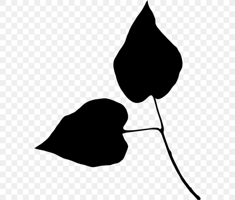 Clip Art Black & White, PNG, 580x699px, Black White M, Black M, Blackandwhite, Botany, Flower Download Free