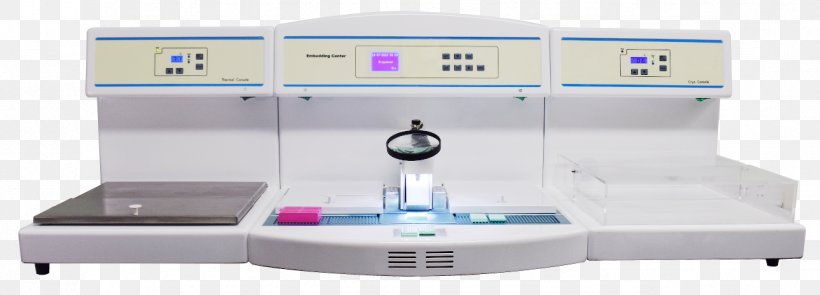 Histology Tissue Histopathology Function Embedding, PNG, 1288x464px, Histology, Automation, Diagram, Drawing, Embedding Download Free