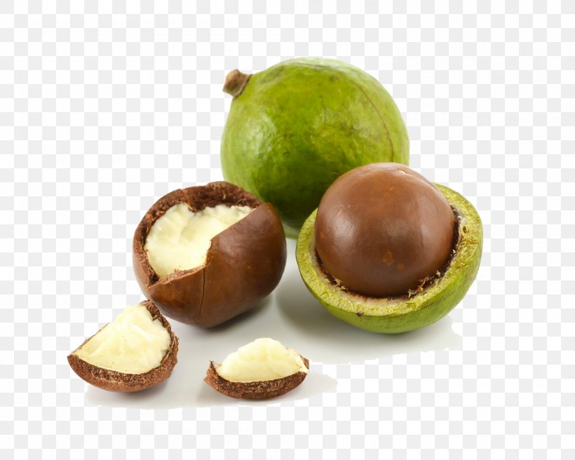 Macadamia Oil Skin Care, PNG, 1000x800px, Macadamia Oil, Bonbon, Carrier Oil, Chocolate Coated Peanut, Essential Oil Download Free