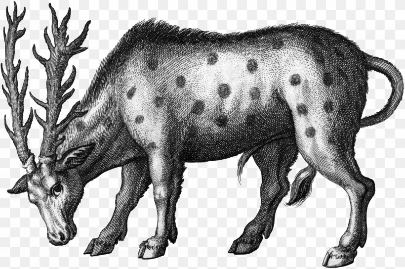 Cattle Reindeer Horse Animal Pig, PNG, 1800x1196px, Cattle, Animal, Aristotle, Black And White, Cattle Like Mammal Download Free