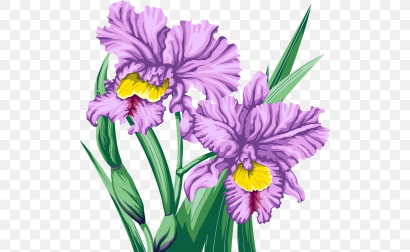 Cut Flowers Violet, PNG, 500x505px, Cut Flowers, Art, Cattleya, Cattleya Orchids, Floral Design Download Free