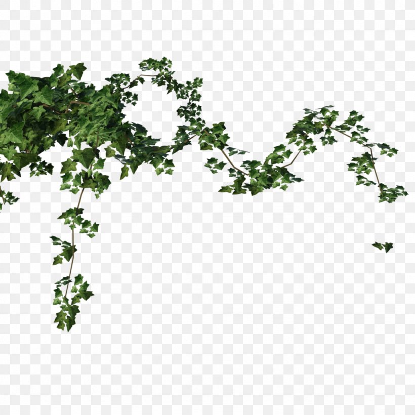 DeviantArt Plant Ivy Tree, PNG, 1024x1024px, 3d Computer Graphics, Deviantart, Art, Branch, Digital Art Download Free