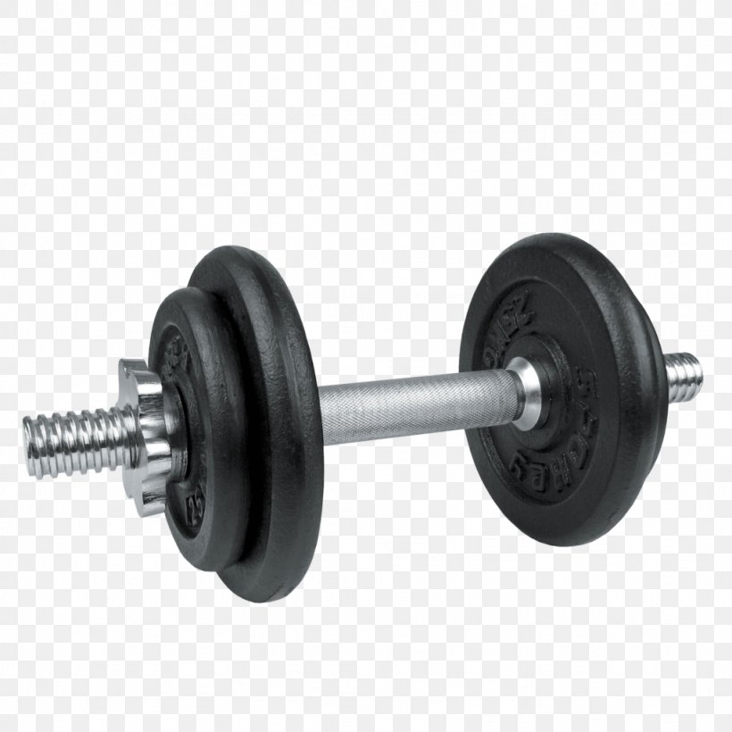 Dumbbell Weight Training Physical Fitness Physical Exercise Aerobics, PNG, 1024x1024px, Dumbbell, Aerobic Exercise, Aerobics, Bench, Exercise Bikes Download Free