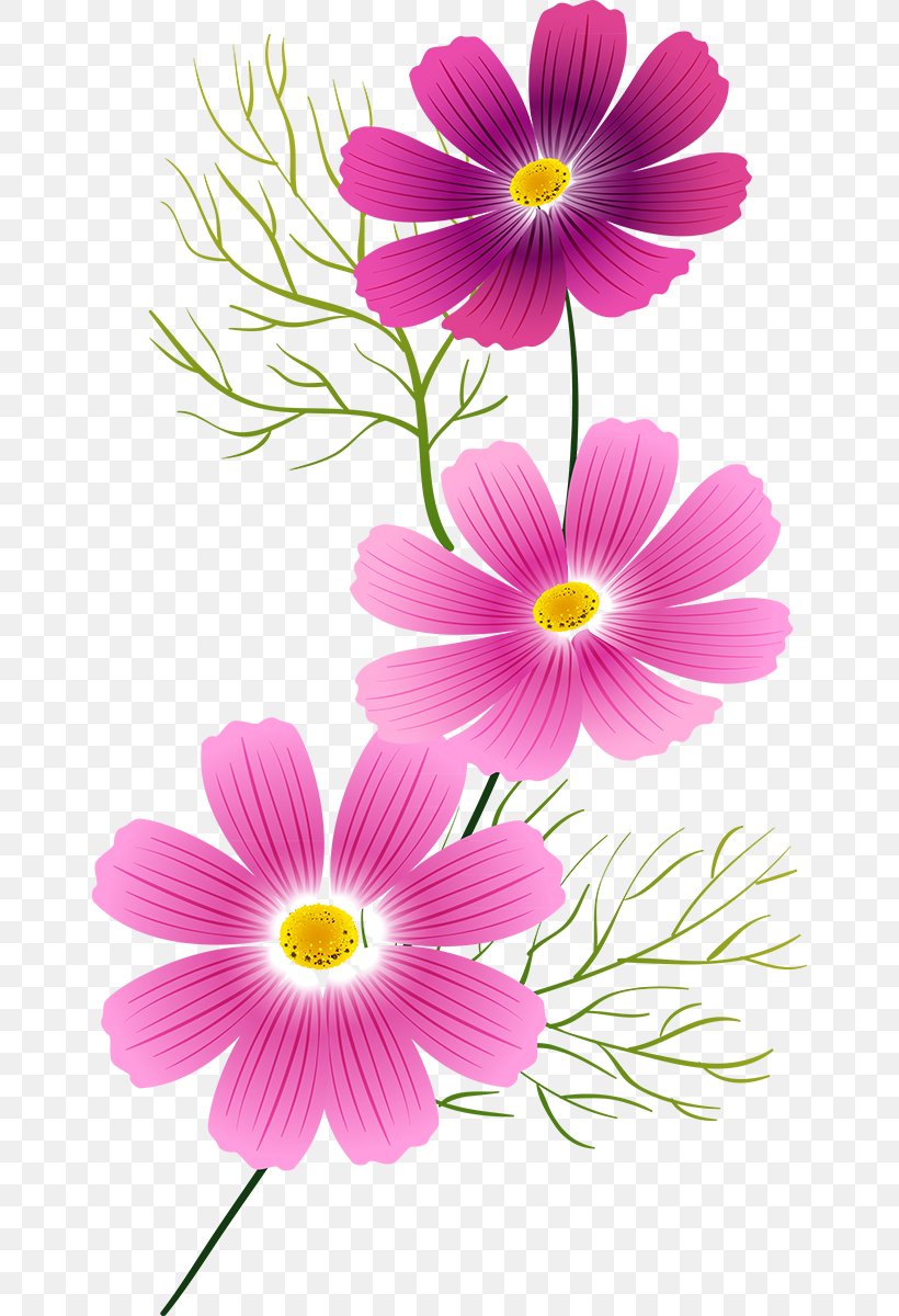 Flower Painting Clip Art, PNG, 652x1200px, Flower, Annual Plant, Chrysanths, Coreldraw, Cosmos Download Free