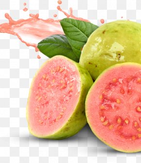 Watermelon Juice Common Guava Fruit, PNG, 800x615px, Watermelon ...