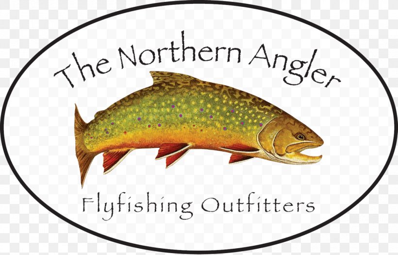 Northern Angler Fly Fishing Angling Spey Casting, PNG, 1460x935px, Fly Fishing, Angling, Artificial Fly, Bait, Cutthroat Trout Download Free