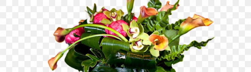Floral Design Cut Flowers Flower Bouquet Flowerpot, PNG, 1000x288px, Floral Design, Cut Flowers, Floristry, Flower, Flower Arranging Download Free