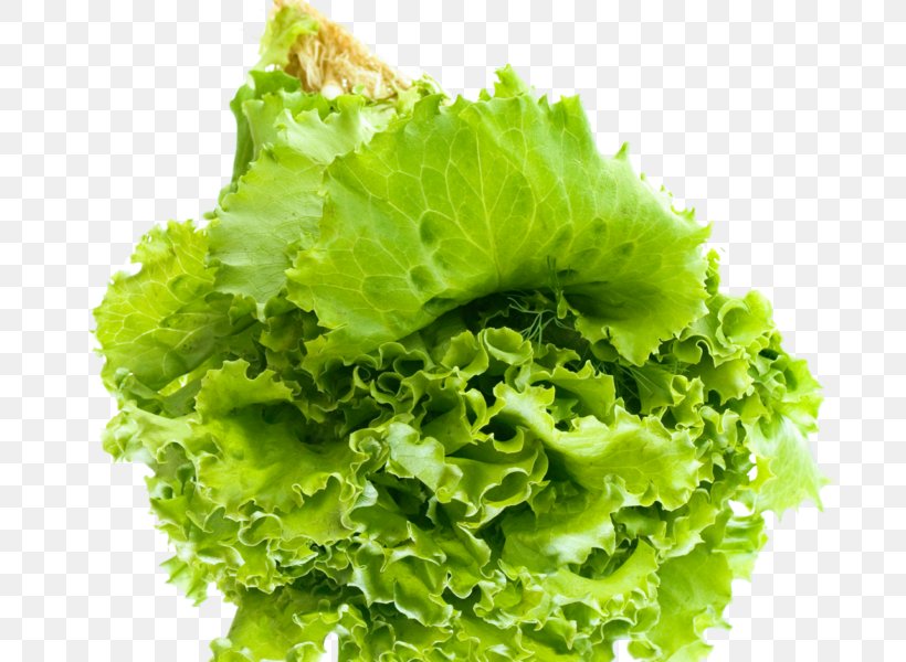 Greens Salad Vegetarian Cuisine Vegetable Endive, PNG, 800x600px, Greens, Blue Sow Thistle, Cruciferous Vegetables, Endive, Flower Download Free