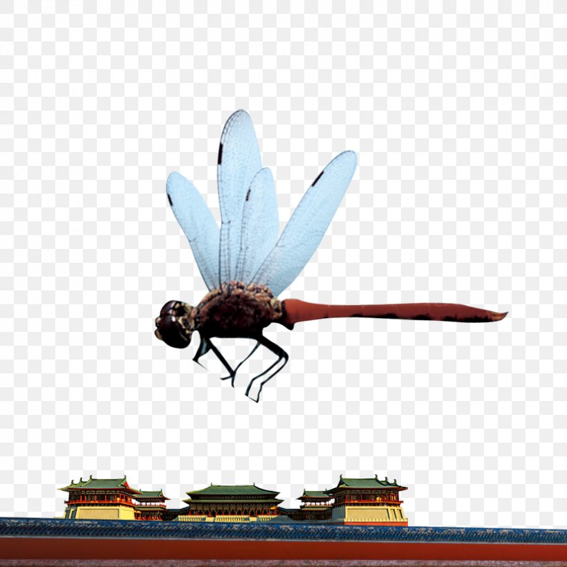 Insect Dragonfly Computer File, PNG, 827x827px, Insect, Digital Watermarking, Dragonfly, Gratis, Laborer Download Free