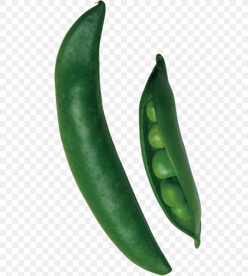 Pea Euclidean Vector Bean, PNG, 1131x1258px, Pea, Bean, Bell Peppers And Chili Peppers, Birds Eye Chili, Cayenne Pepper Download Free