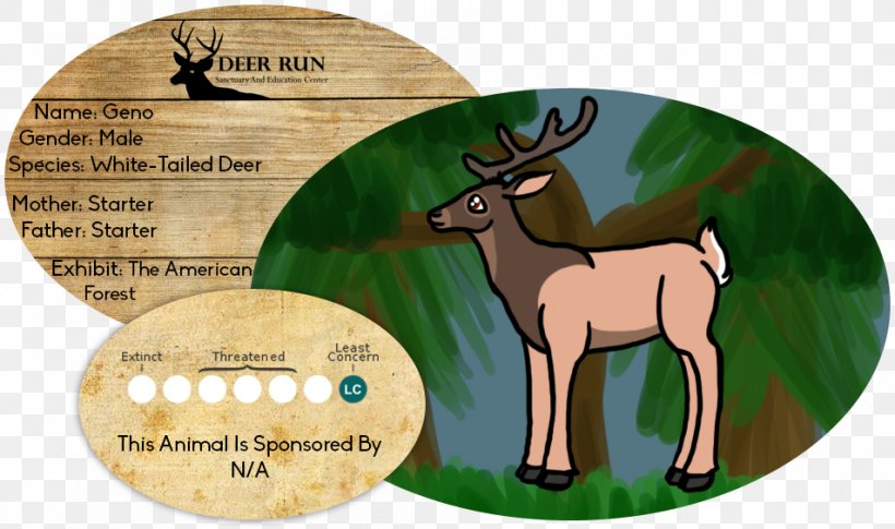 Reindeer Horse Antler Mammal Wildlife, PNG, 953x564px, Reindeer, Animated Cartoon, Antler, Deer, Fauna Download Free