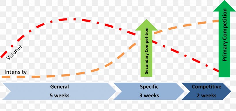 Sports Periodization Strength Training Conditioning For Athletes Exercise, PNG, 1439x679px, Sports Periodization, Area, Athlete, Brand, Diagram Download Free