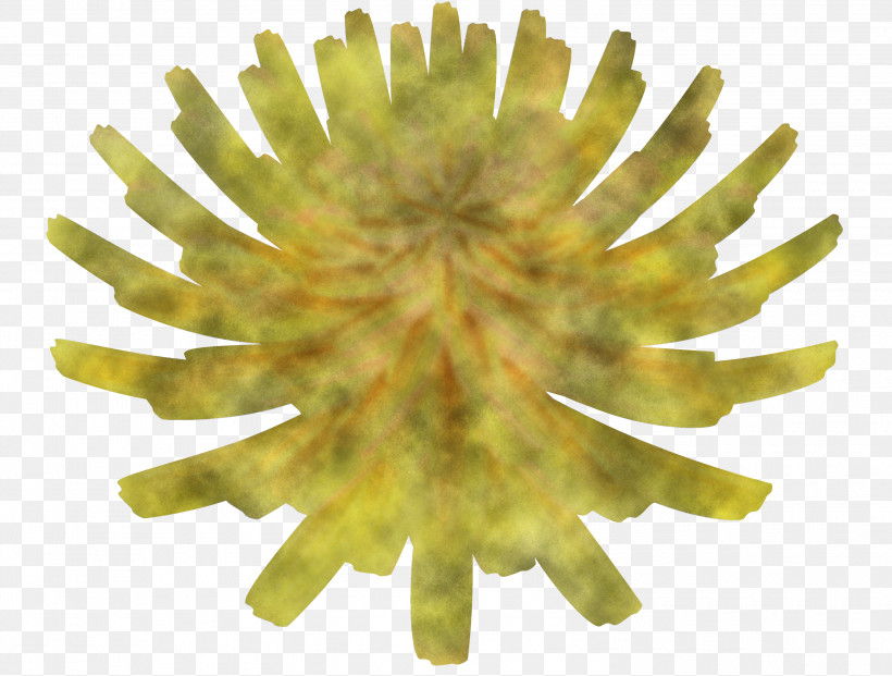 Dandelion Flower, PNG, 3000x2274px, Dandelion Flower, Artificial Flower, Chrysanthemum, Cut Flowers, Dandelion Download Free