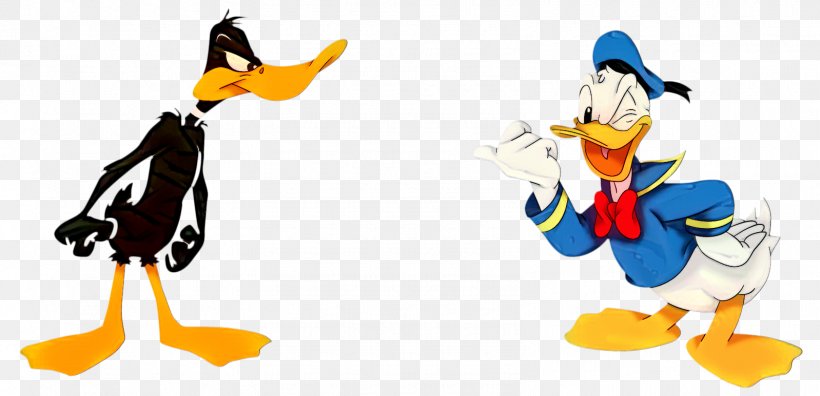 Donald Duck Daffy Duck Daisy Duck Bugs Bunny Elmer Fudd, PNG, 1598x773px, Donald Duck, Animated Cartoon, Animation, Art, Bugs Bunny Download Free