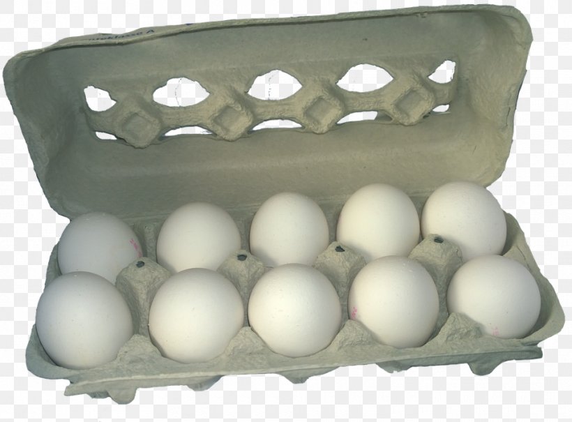Chicken Egg Carton, PNG, 960x709px, Chicken, Box, Carton, Easter Egg, Egg Download Free