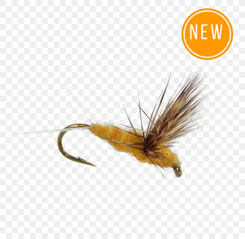 Dry Fly Fishing Trout Flies: Proven Patterns Essential Trout Flies, PNG, 800x800px, Fly, Artificial Fly, Baetis, Bluewinged Olive, Brown Trout Download Free