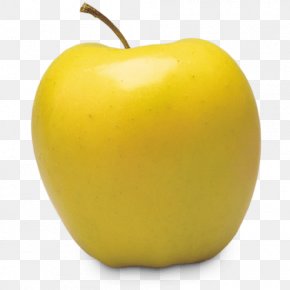 Hesperides Golden Apple Fruit Png 586x800px Hesperides Apple Apple Of Discord Auglis Food Download Free