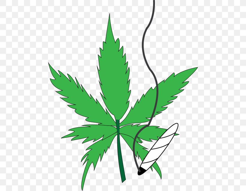 Medical Cannabis Kush Leaf Clip Art, PNG, 500x639px, Cannabis, Cannabis Shop, Drug, Drug Enforcement Administration, Flowering Plant Download Free